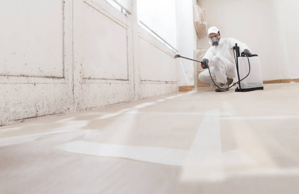24/7 Emergency Attic Mold Removal experts in Lexington, IL