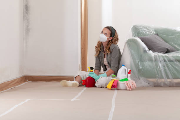 Reliable Attic Mold Removal contractor in Lexington, IL by WQB Mold Removal